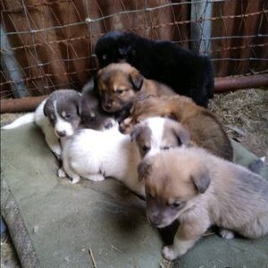 Meet your Posher, Crystal